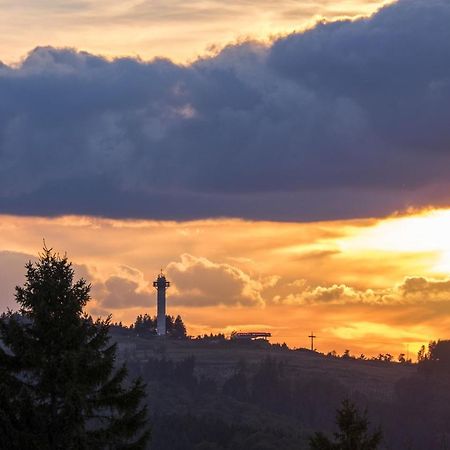 Fewo Poenblick Willingen  Esterno foto
