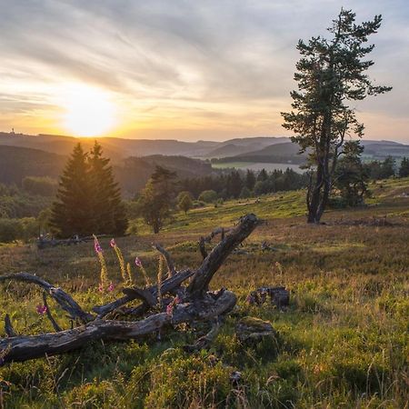 Fewo Poenblick Willingen  Esterno foto
