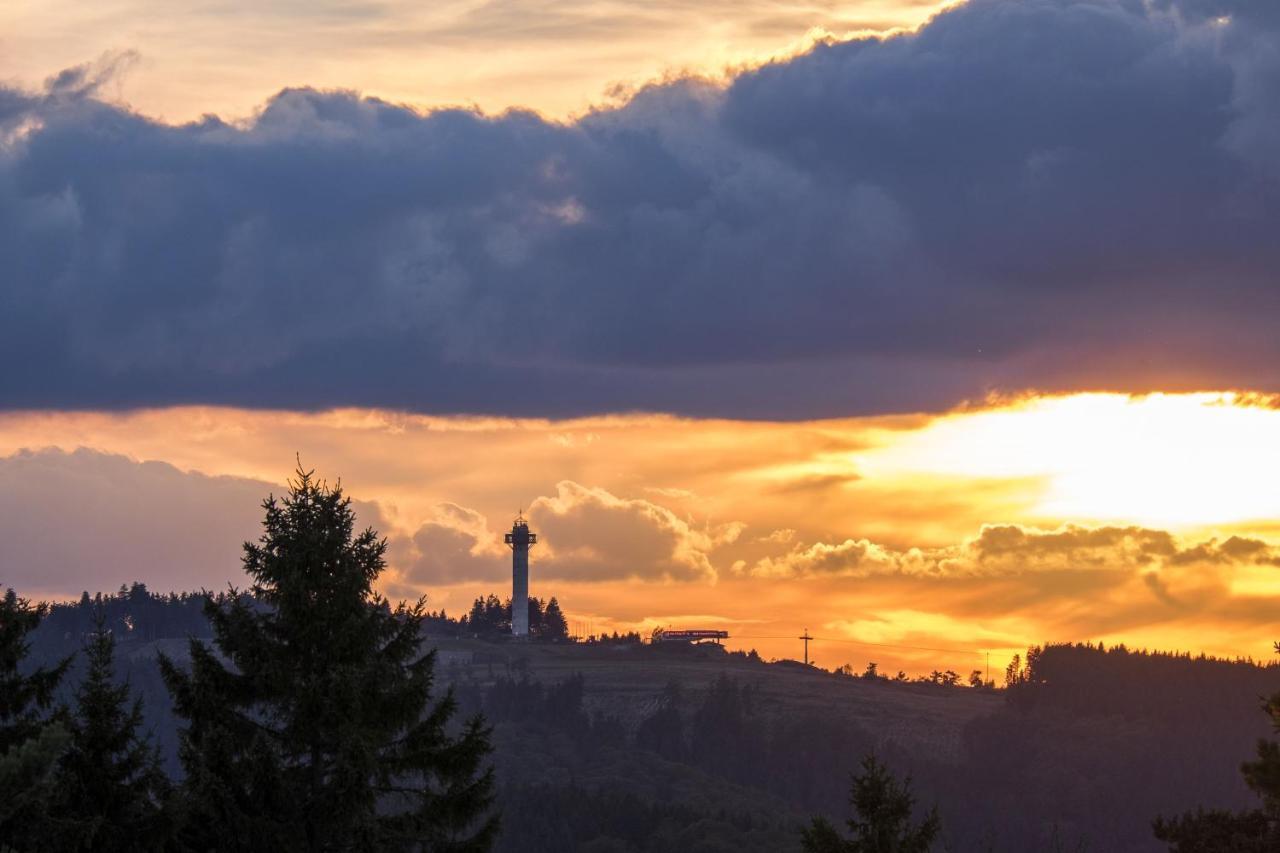 Fewo Poenblick Willingen  Esterno foto