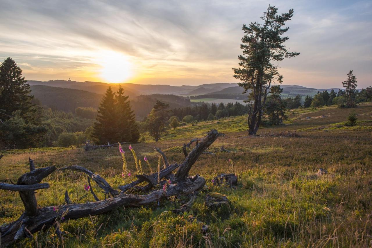 Fewo Poenblick Willingen  Esterno foto