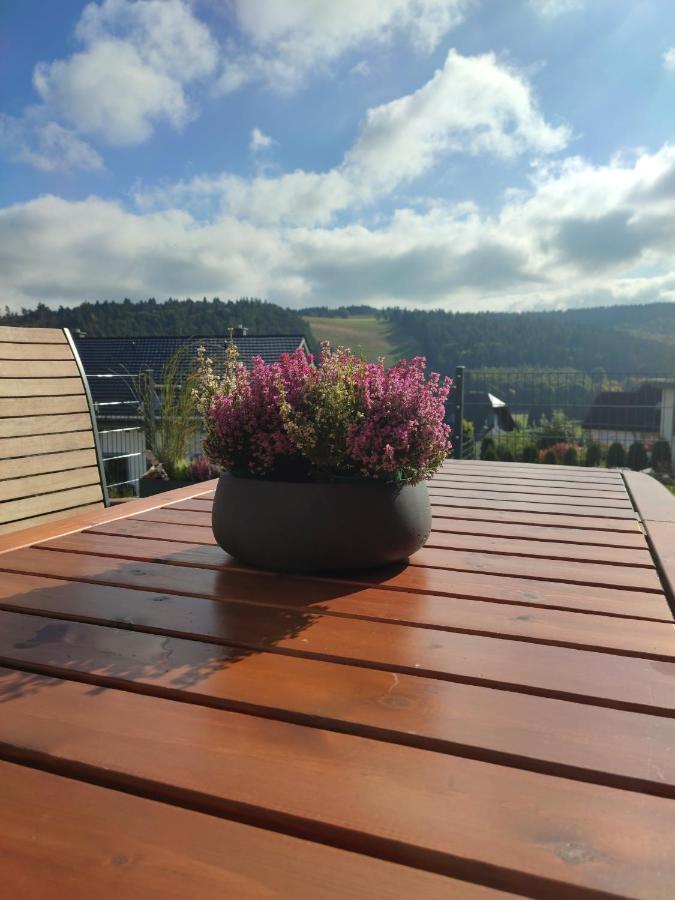 Fewo Poenblick Willingen  Esterno foto