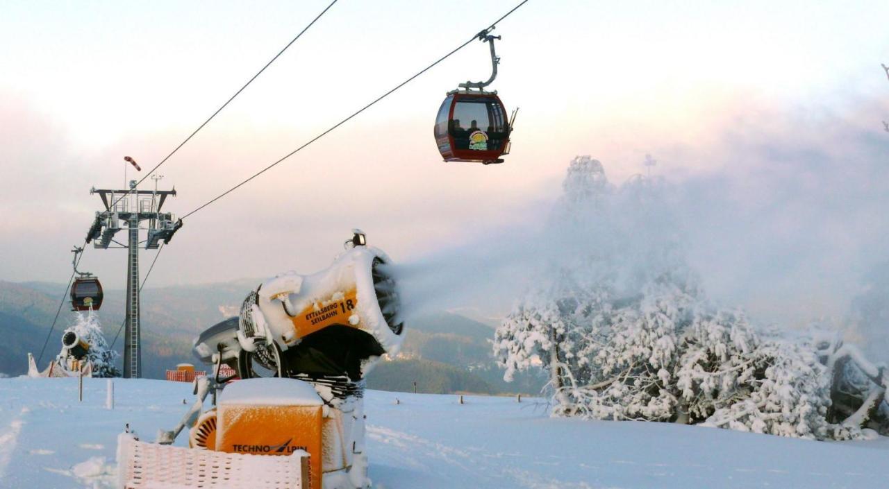 Fewo Poenblick Willingen  Esterno foto
